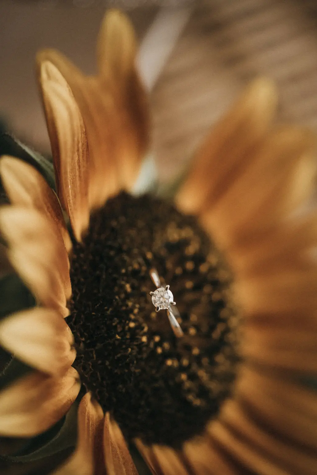 Giannis Evi - Katerini