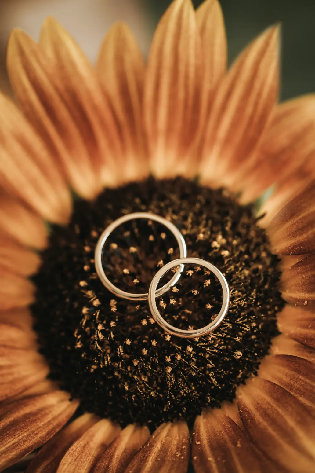 Giannis Evi - Katerini