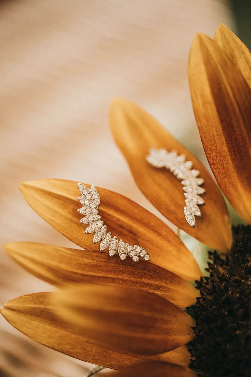 Giannis Evi - Katerini